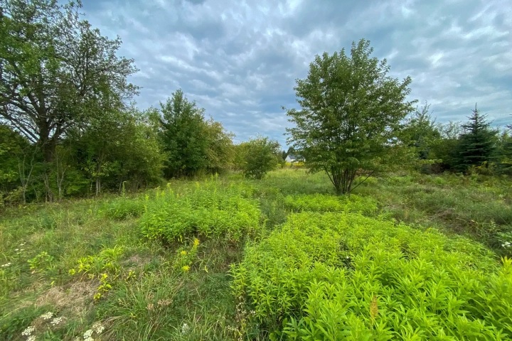 Działka budowlana 870 m² na sprzedaż – Dąbrowa Górnicza Sikorka